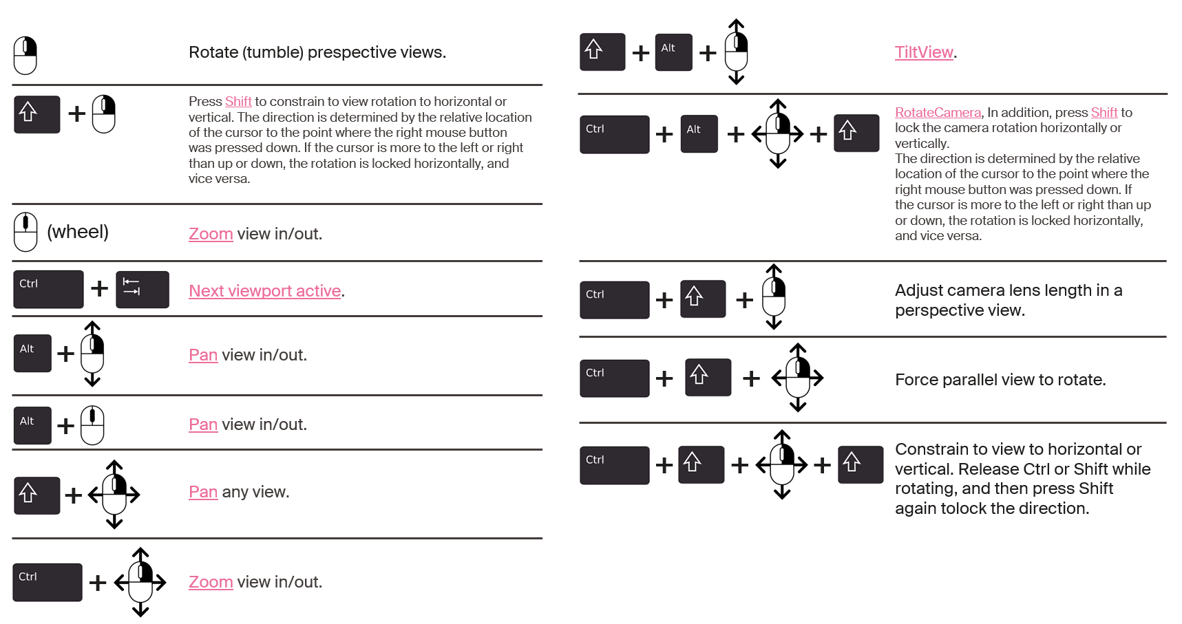 Rhino Viewports